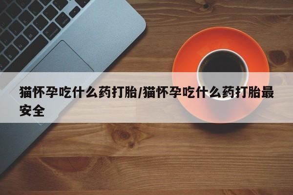 网上购买米非司酮片去哪买猫怀孕吃什么药打胎/猫怀孕吃什么药打胎最安全