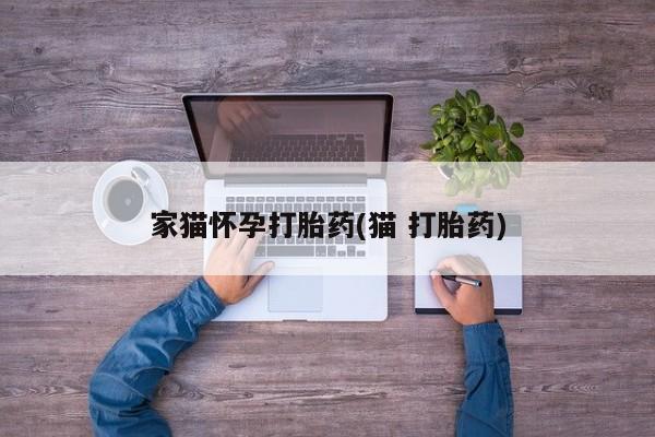 网上购买米非司酮片去哪买家猫怀孕打胎药(猫 打胎药)