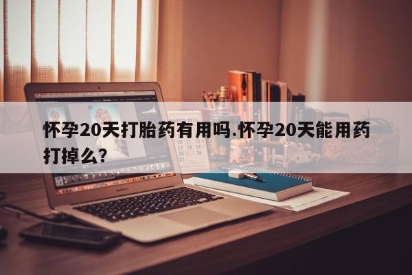 网上购买米非司酮片去哪买怀孕20天打胎药有用吗.怀孕20天能用药打掉么？